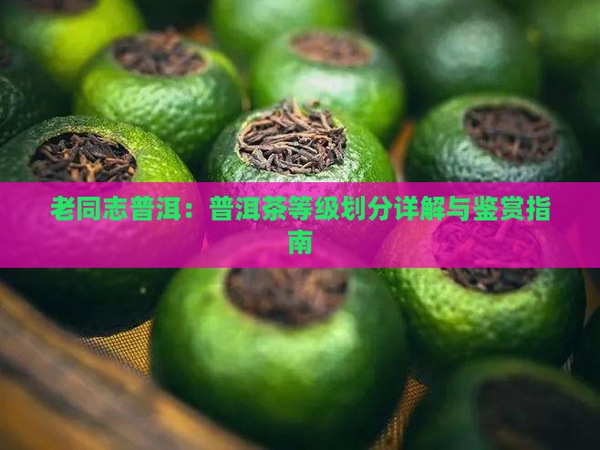 老同志普洱：普洱茶等级划分详解与鉴赏指南