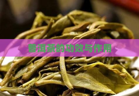 普洱茶的功效与作用