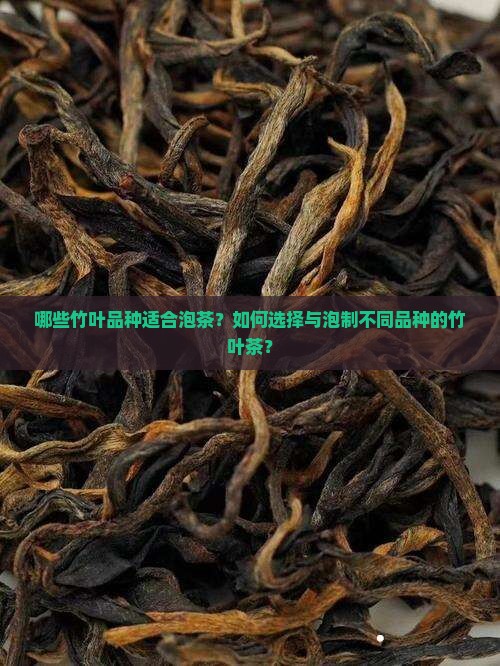 哪些竹叶品种适合泡茶？如何选择与泡制不同品种的竹叶茶？