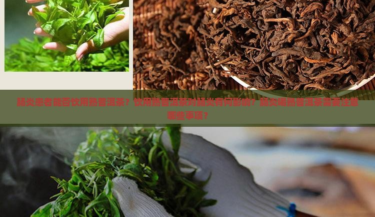 肠炎患者能否饮用熟普洱茶？饮用熟普洱茶对肠炎有何影响？肠炎喝熟普洱茶需要注意哪些事项？