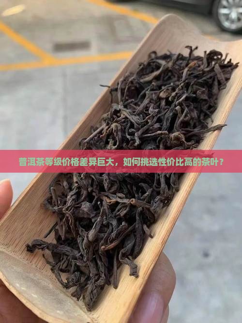 普洱茶等级价格差异巨大，如何挑选性价比高的茶叶？