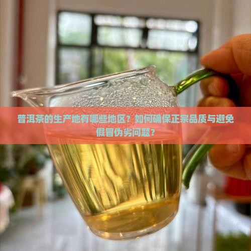普洱茶的生产地有哪些地区？如何确保正宗品质与避免假冒伪劣问题？