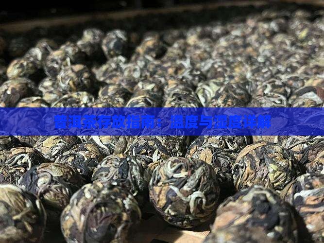 普洱茶存放指南：温度与湿度详解