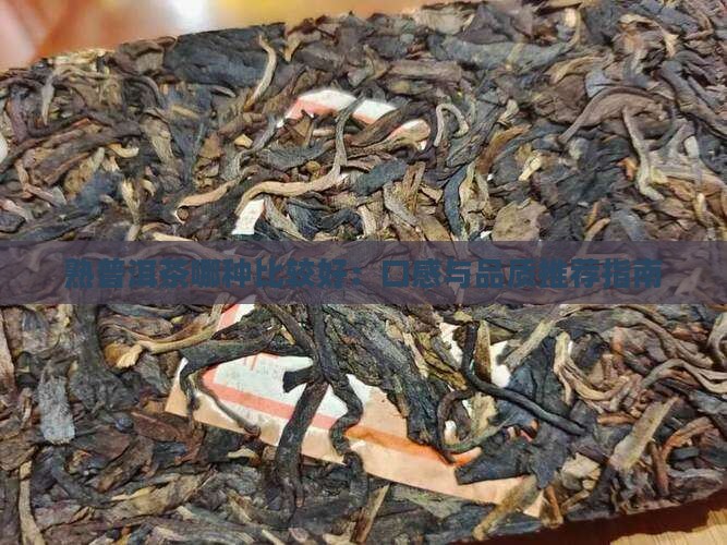 熟普洱茶哪种比较好：口感与品质推荐指南