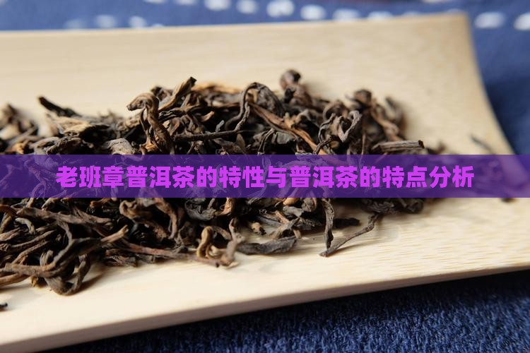 老班章普洱茶的特性与普洱茶的特点分析