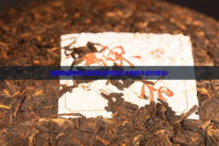 紫陶柴烧茶具与普洱茶如何搭配才能提升品饮体验？