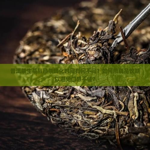 普洱茶生茶与熟茶转化时间有何不同？如何辨别品饮期以避免口感不佳？