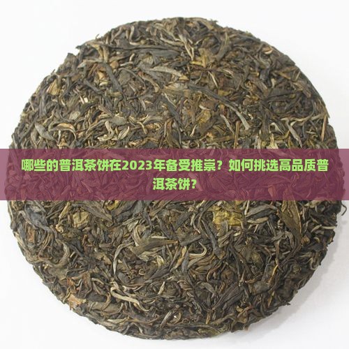 哪些的普洱茶饼在2023年备受推崇？如何挑选高品质普洱茶饼？