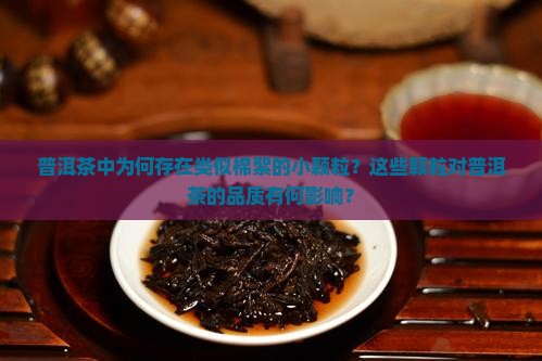 普洱茶中为何存在类似棉絮的小颗粒？这些颗粒对普洱茶的品质有何影响？