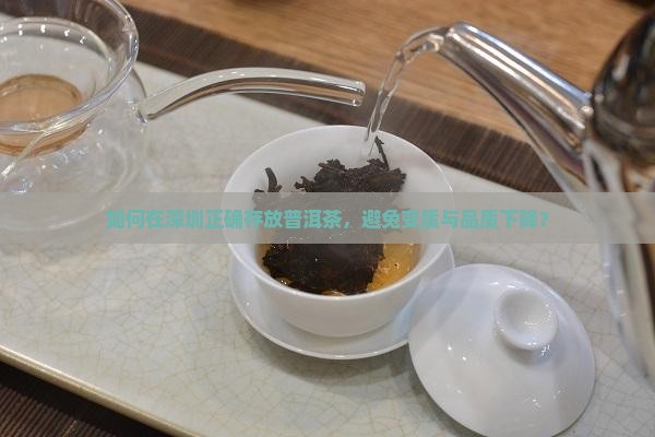 如何在深圳正确存放普洱茶，避免变质与品质下降？