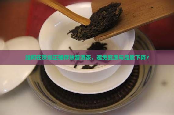 如何在深圳正确存放普洱茶，避免变质与品质下降？