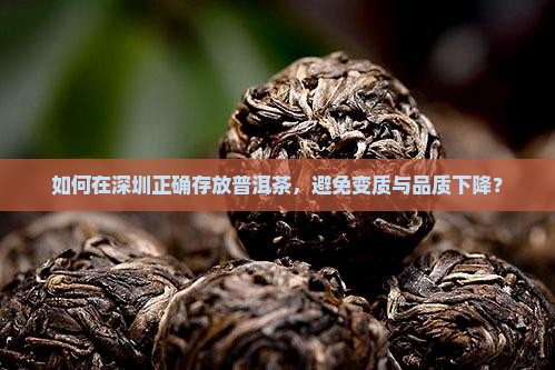 如何在深圳正确存放普洱茶，避免变质与品质下降？