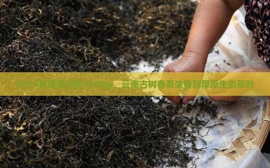 2019普洱茶生茶1000g，云南古树春茶浓香醇厚原生态茶叶