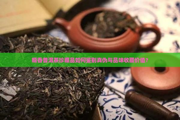 糯香普洱茶珍藏品如何鉴别真伪与品味收藏价值？