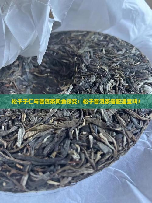 松子子仁与普洱茶同食探究：松子普洱茶搭配适宜吗？