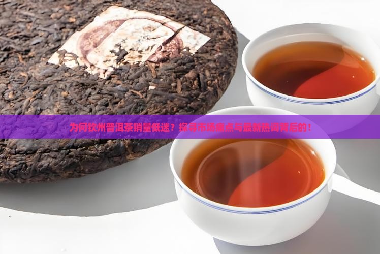 为何钦州普洱茶销量低迷？探寻市场痛点与最新热词背后的！
