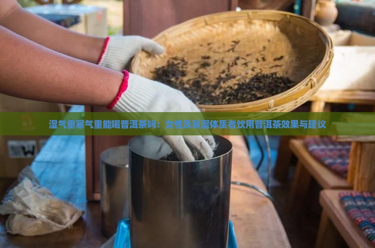 湿气重寒气重能喝普洱茶吗：女性及寒湿体质者饮用普洱茶效果与建议