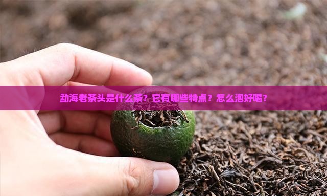 勐海老茶头是什么茶？它有哪些特点？怎么泡好喝？