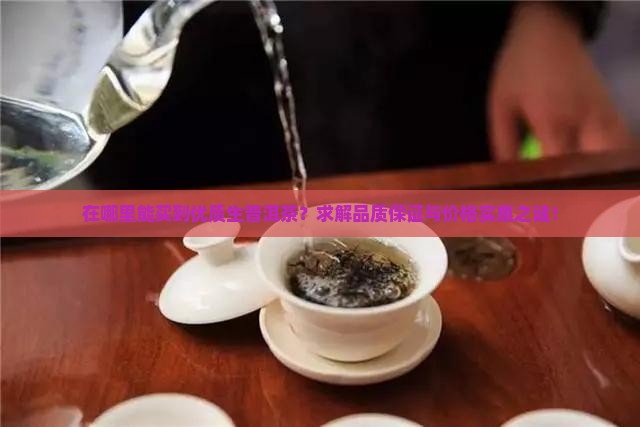 在哪里能买到优质生普洱茶？求解品质保证与价格实惠之谜！