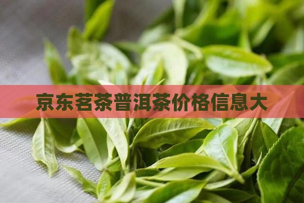 京东茗茶普洱茶价格信息大