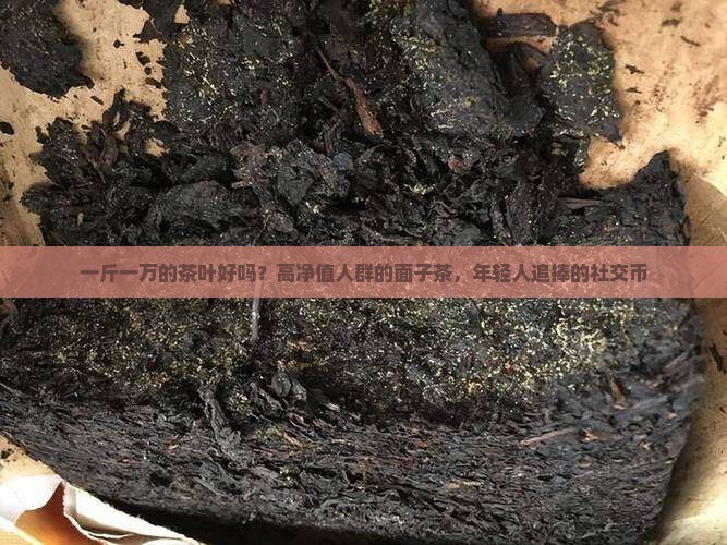 一斤一万的茶叶好吗？高净值人群的面子茶，年轻人追捧的社交币