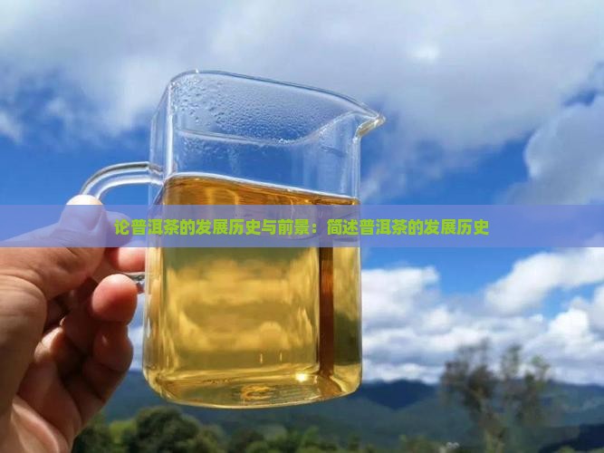 论普洱茶的发展历史与前景：简述普洱茶的发展历史
