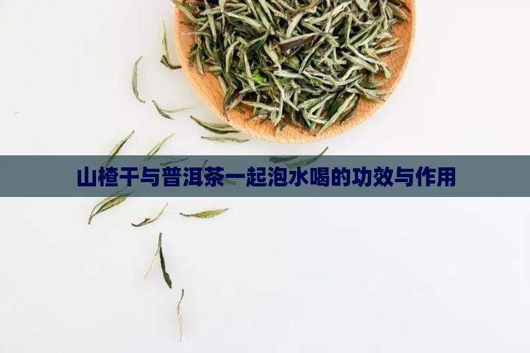 山楂干与普洱茶一起泡水喝的功效与作用
