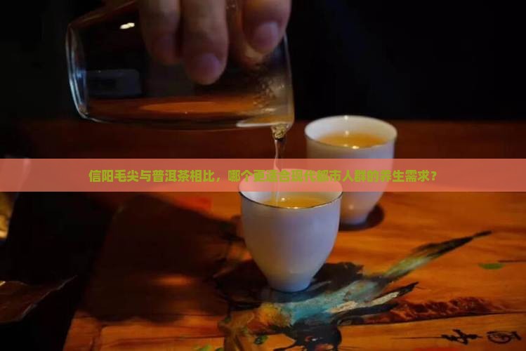 信阳毛尖与普洱茶相比，哪个更适合现代都市人群的养生需求？