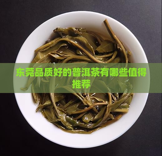 东莞品质好的普洱茶有哪些值得推荐