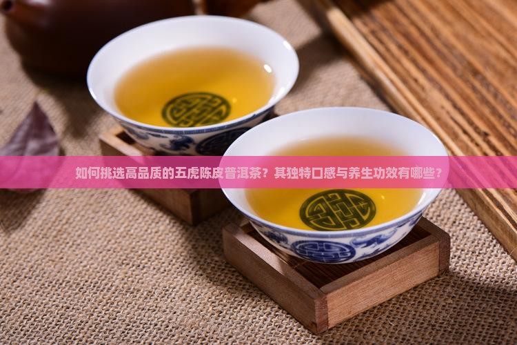 如何挑选高品质的五虎陈皮普洱茶？其独特口感与养生功效有哪些？