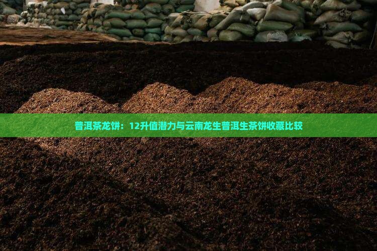 普洱茶龙饼：12升值潜力与云南龙生普洱生茶饼收藏比较