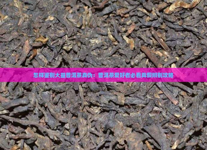 怎样鉴别大益普洱茶真伪：普洱茶爱好者必看真假辨别攻略