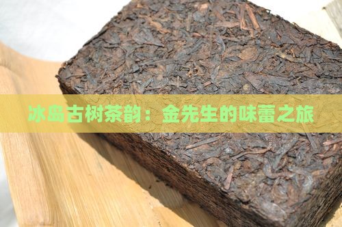冰岛古树茶韵：金先生的味蕾之旅