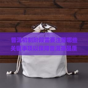 普洱初制阶段需要注意哪些关键事项以保障普洱茶品质