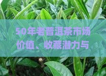 50年老普洱茶市场价值、收藏潜力与价格分析