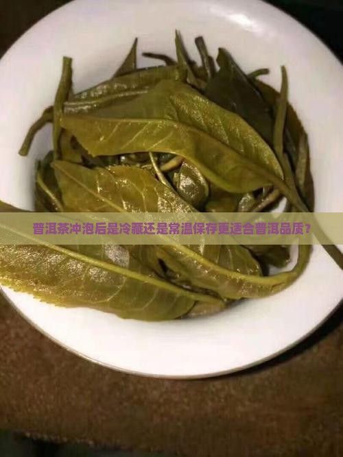 普洱茶冲泡后是冷藏还是常温保存更适合普洱品质？