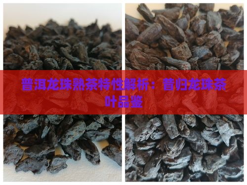 普洱龙珠熟茶特性解析：昔归龙珠茶叶品鉴