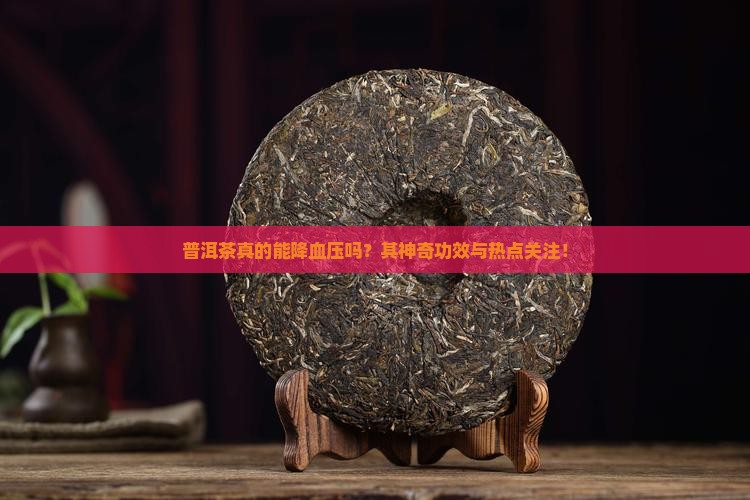 普洱茶真的能降血压吗？其神奇功效与热点关注！