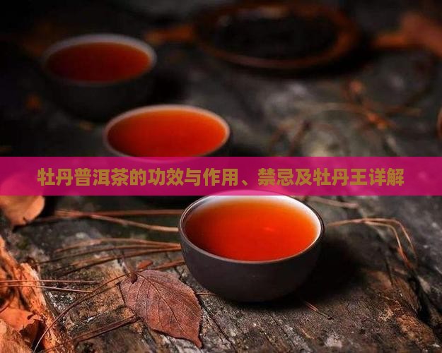 牡丹普洱茶的功效与作用、禁忌及牡丹王详解