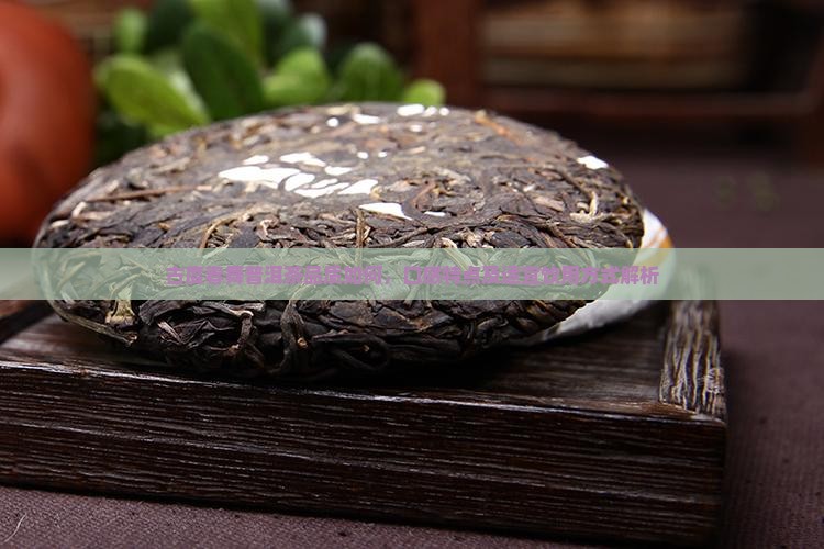 古度春舞普洱茶品质如何，口感特点及适宜饮用方式解析