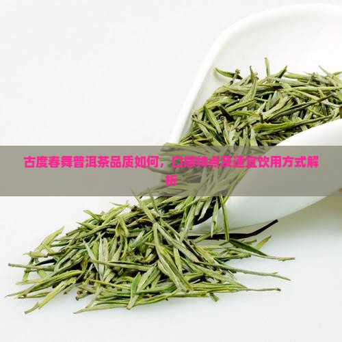 古度春舞普洱茶品质如何，口感特点及适宜饮用方式解析