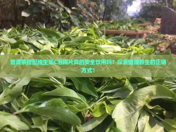 普洱茶搭配维生素C泡腾片真的安全饮用吗？探索健康养生的正确方式！