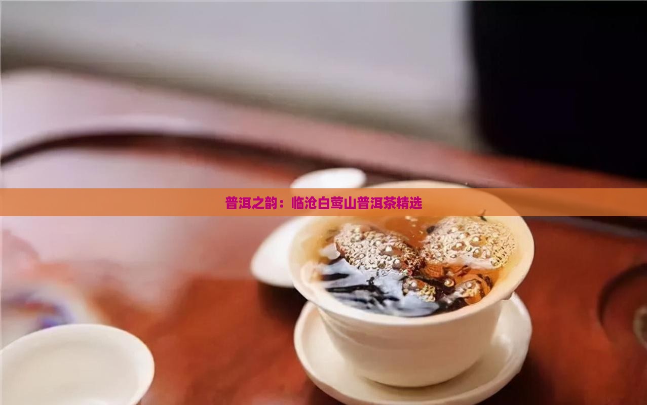 普洱之韵：临沧白莺山普洱茶精选
