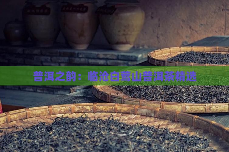 普洱之韵：临沧白莺山普洱茶精选