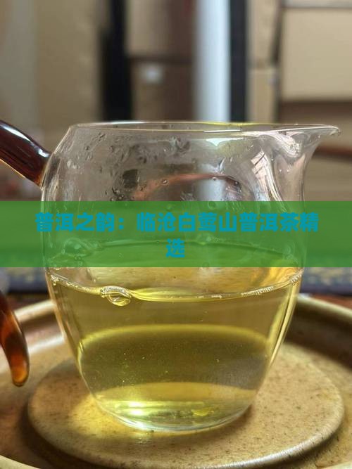 普洱之韵：临沧白莺山普洱茶精选