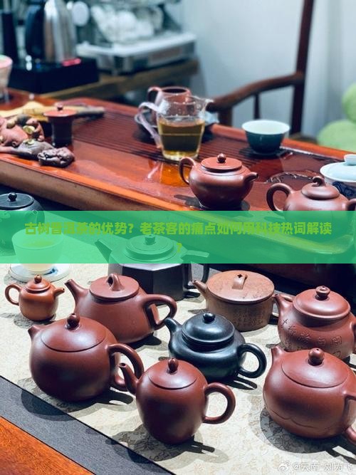 古树普洱茶的优势？老茶客的痛点如何用科技热词解读？