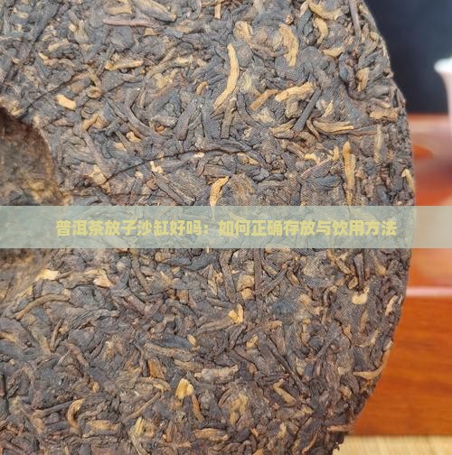 普洱茶放子沙缸好吗：如何正确存放与饮用方法