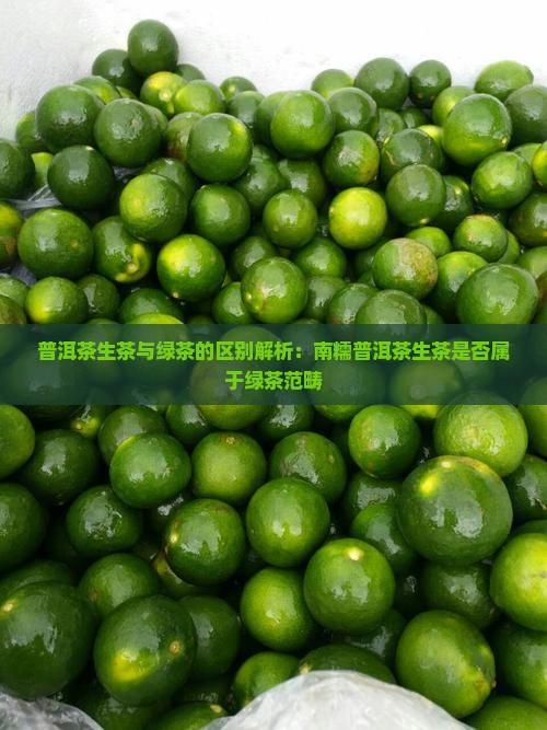 普洱茶生茶与绿茶的区别解析：南糯普洱茶生茶是否属于绿茶范畴