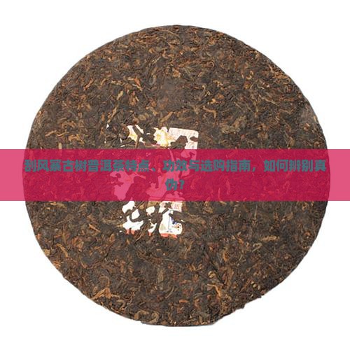 刮风寨古树普洱茶特点、功效与选购指南，如何辨别真伪？