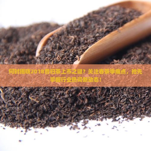 何时揭晓2018昔归茶上市之谜？关注春茶季痛点，抢先掌握行业热词新动态！